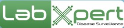 IMS Logo